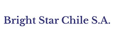 Logo Bright Star
